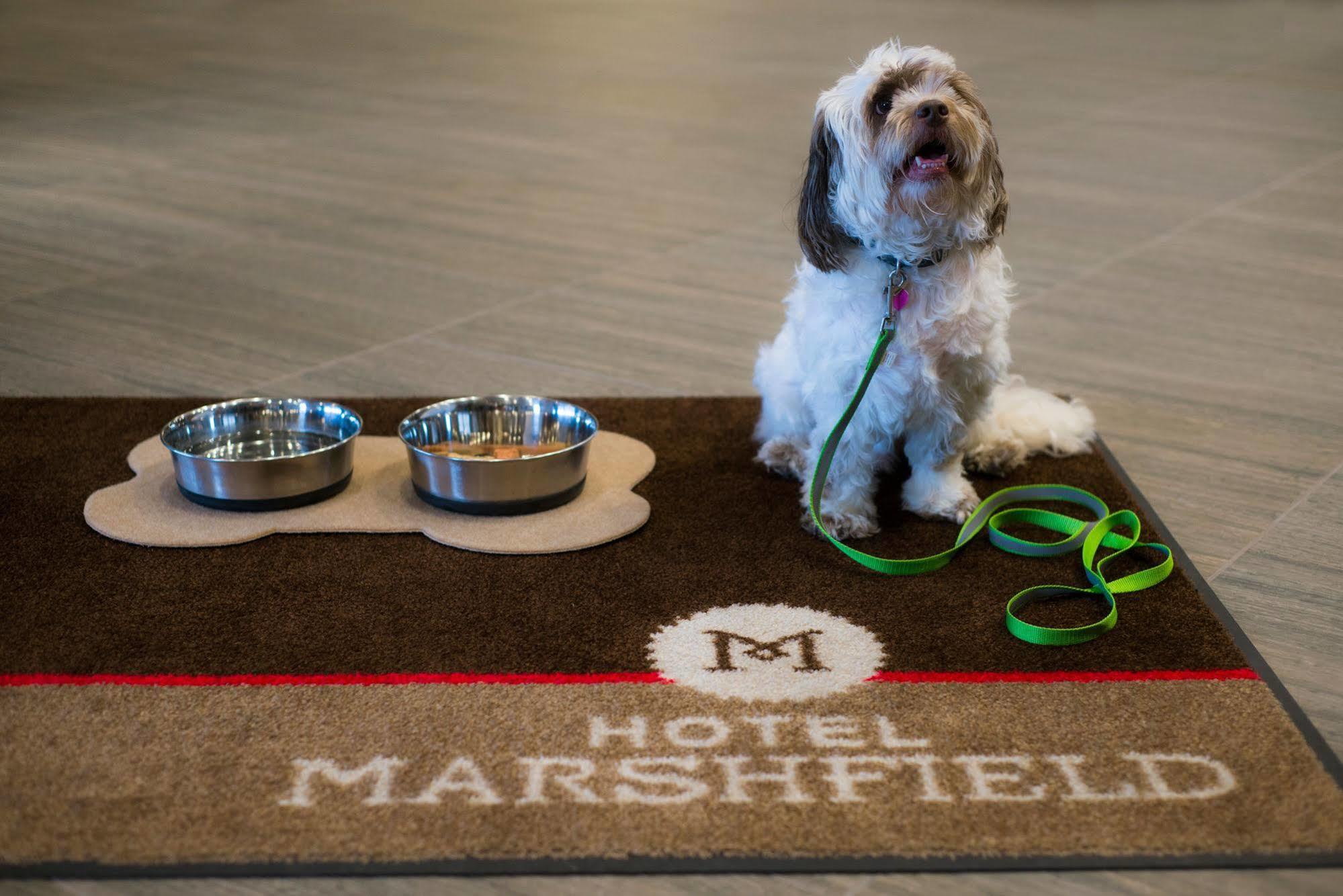 โรงแรมมาร์ชฟิลด์ บีดับเบิลยู พรีเมียร์ คอลเลคขั่น Marshfield ภายนอก รูปภาพ